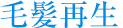 毛髪再生
